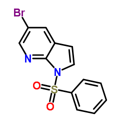 cas no 1001070-33-2 is 1-Benzenesulfonyl-5-bromo-1H-pyrrolo[2,3-b]pyridine