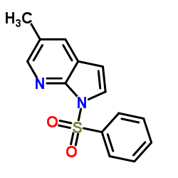 cas no 1001070-50-3 is 5-methyl-1-(phenylsulfonyl)-1H-Pyrrolo[2,3-b]pyridine
