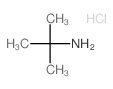 cas no 10017-37-5 is 2-Propanamine,2-methyl-, hydrochloride (1:1)