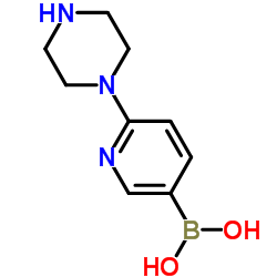 cas no 1003043-67-1 is 6-(piperazin-1-yl)pyridin-3-ylboronic acid