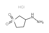 cas no 1004-15-5 is 3-HYDRAZINOTETRAHYDRO-1H-1L6-THIOPHENE-1,1-DIONE HYDROCHLORIDE