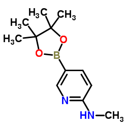 cas no 1005009-98-2 is N-METHYL-5-(4,4,5,5-TETRAMETHYL-1,3,2-DIOXABOROLAN-2-YL)PYRIDIN-2-AMINE