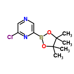 cas no 1009378-52-2 is 6-Chloropyrazine-2-boronic acid pinacol ester