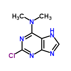 cas no 100960-20-1 is 2-Chloro-N,N-dimethyl-7H-purin-6-amine