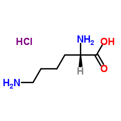 cas no 10098-89-2 is L-Lysine hydrochloride