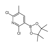 cas no 1010101-09-3 is 2,6-dichloro-3-methyl-5-(4,4,5,5-tetramethyl-1,3,2-dioxaborolan-2-yl)pyridine