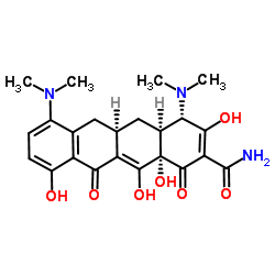 cas no 10118-90-8 is Minocycline