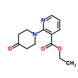 cas no 1016524-78-9 is Ethyl 2-(4-oxo-1-piperidinyl)nicotinate
