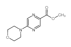 cas no 1017604-09-9 is METHYL 5-(4-MORPHOLINYL)-2-PYRAZINECARBOXYLATE