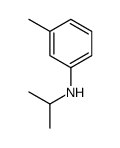 cas no 10219-26-8 is N-ISOPROPYL-M-TOLUIDINE