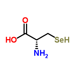 cas no 10236-58-5 is Seleno-L-cysteine