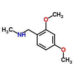 cas no 102503-23-1 is N-(2,4-Dimethoxybenzyl)-N-methylamine
