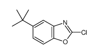 cas no 1027076-19-2 is 5-tert-butyl-2-chloro-1,3-benzoxazole