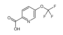 cas no 102771-66-4 is 5-(trifluoromethoxy)pyridine-2-carboxylic acid