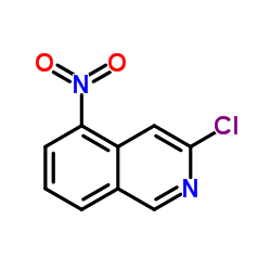 cas no 10296-47-6 is 3-Chloro-5-nitroisoquinoline