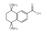 cas no 103031-30-7 is 5,5,8,8-TETRAMETHYL-5,6,7,8-TETRAHYDRONAPHTHALENE-2-CARBOXYLIC ACID