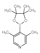 cas no 1032358-02-3 is 3,5-Dimethylpyridine-4-boronic acid pinacol ester