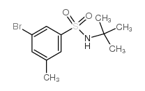 cas no 1033201-97-6 is 3-Bromo-N-(tert-butyl)-5-methylbenzenesulfonamide