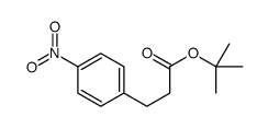cas no 103790-47-2 is 2-Methyl-2-propanyl 3-(4-nitrophenyl)propanoate