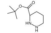 cas no 104069-74-1 is (S)-tert-butyl piperazine-3-carboxylate