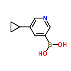 cas no 1044210-58-3 is 5-Cyclopropylpyridin-3-ylboronic acid
