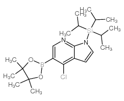 cas no 1045857-94-0 is 4-CHLORO-5-(4,4,5,5-TETRAMETHYL-1,3,2-DIOXABOROLAN-2-YL)-1-(TRIISOPROPYLSILYL)-1H-PYRROLO[2,3-B]PYRIDINE