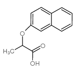 cas no 10470-82-3 is 2-(2-naphthyloxy)propanoic acid