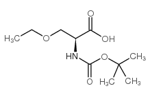 cas no 104839-00-1 is (S)-N-BOC-2-AMINO-3-ETHOXY-PROPIONIC ACID