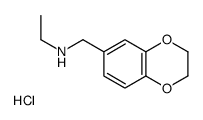 cas no 1052543-02-8 is N-((2,3-DIHYDROBENZO[B][1,4]DIOXIN-6-YL)METHYL)ETHANAMINE HYDROCHLORIDE