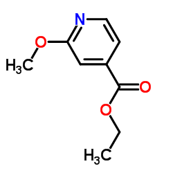 cas no 105596-61-0 is Ethyl 2-methoxyisonicotinate