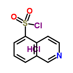 cas no 105627-79-0 is Isoquinoline-5-sulfonyl chloride hydrochloride