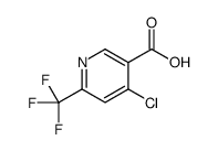 cas no 1060810-66-3 is 4-Chloro-6-trifluoromethyl-nicotinic acid