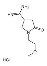 cas no 106910-82-1 is 1-(2-methoxyethyl)-5-oxopyrrolidine-3-carboximidamide,hydrochloride
