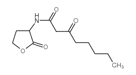 cas no 106983-27-1 is N-(3-Oxooctanoyl)-DL-homoserine lactone