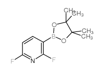 cas no 1072945-00-6 is 2,6-Difluoropyridine-3-boronic acid pinacol ester