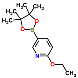 cas no 1072945-01-7 is 2-ETHOXY-5-(4,4,5,5-TETRAMETHYL-1,3,2-DIOXABOROLAN-2-YL)PYRIDINE