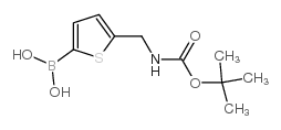cas no 1072951-39-3 is 5-(BOC-Aminomethyl)thiophene-2-boronicacid