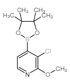 cas no 1073353-73-7 is 3-Chloro-2-methoxypyridine-4-boronic acid pinacol ester