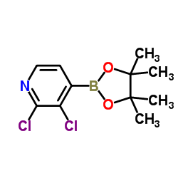cas no 1073353-78-2 is 2,3-Dichloropyridine-4-boronic acid pinacol ester