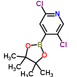 cas no 1073353-98-6 is 2,5-Dichloropyridine-4-boronic acid pinacol ester