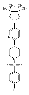 cas no 1073354-20-7 is 1-((4-CHLOROPHENYL)SULFONYL)-4-(5-(4,4,5,5-TETRAMETHYL-1,3,2-DIOXABOROLAN-2-YL)PYRIDIN-2-YL)PIPERAZINE