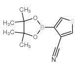 cas no 1073354-61-6 is 3-Cyanothiophene-4-boronic acid pinacol ester