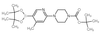 cas no 1073355-13-1 is tert-Butyl 4-(4-methyl-5-(4,4,5,5-tetramethyl-1,3,2-dioxaborolan-2-yl)pyridin-2-yl)piperazine-1-carboxylate