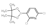 cas no 1073371-78-4 is 2,6-Dichloropyridine-3-boronic acid pinacol ester