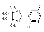 cas no 1073371-98-8 is 2,5-Dichloropyridine-3-boronic acid pinacol ester