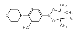 cas no 1073372-03-8 is 5-Methyl-6-(morpholin-4-yl)pyridine-3-boronic acid pinacol ester