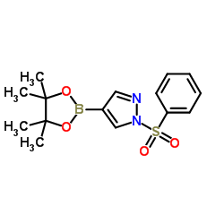 cas no 1073372-04-9 is 1-(Phenylsulfonyl)-4-(4,4,5,5-tetramethyl-1,3,2-dioxaborolan-2-yl)-1H-pyrazole