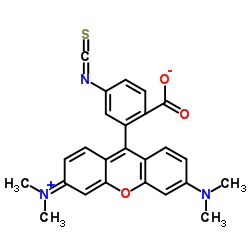 cas no 107347-53-5 is Tetramethylrhodamine-6-isothiocyanate