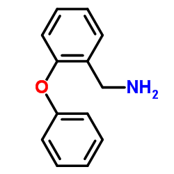 cas no 107624-14-6 is 2-Phenoxy-benzylaMine