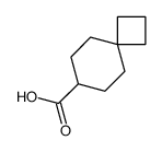 cas no 1086399-15-6 is Spiro[3.5]nonane-7-carboxylic acid